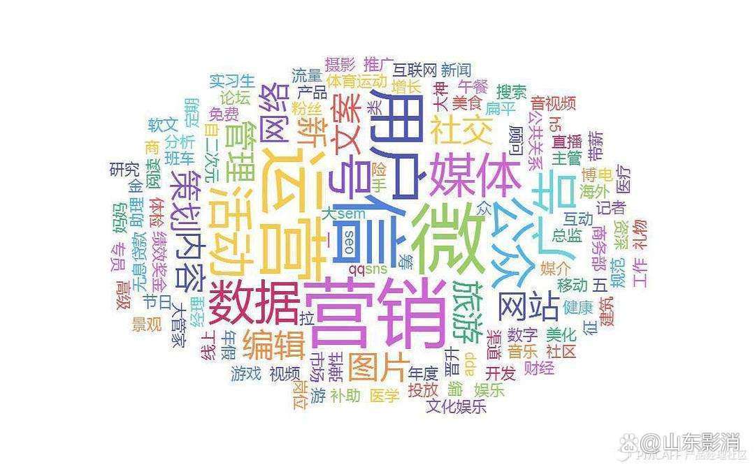 企业新媒体运营 网络营销策划服务